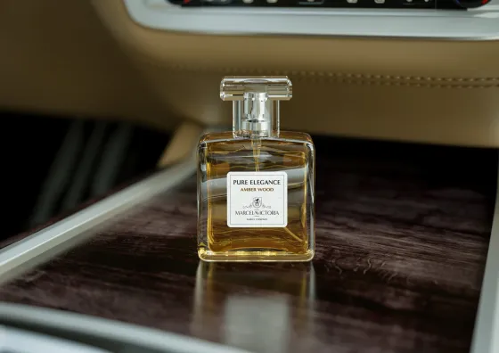 Ароматизатор TASOTTI PURE ELEGANCE (блок)