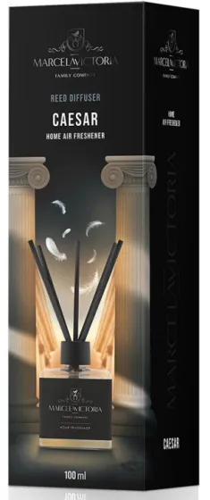 Ароматизатор TASOTTI (на панель приборов) REED DIFFUSER CAESAR 1/12