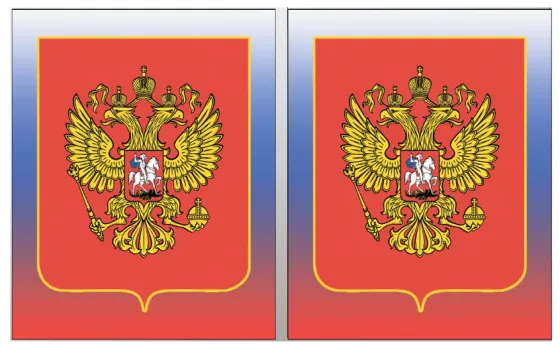 Шторы спального места фотопечать РОССИЯ