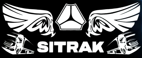 Табличка светящаяся SITRAK 24V в спальник