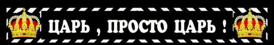Брызговики длинномер 2400х350мм Царь просто царь