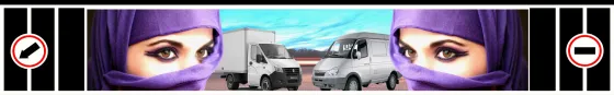 Брызговики 2050х320мм Г-ЛЬ Глаза