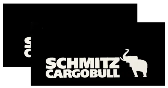Брызговики 420х200мм SCHMITZ CARGOBULL