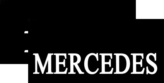 Брызговики 515х240мм MERCEDES RB